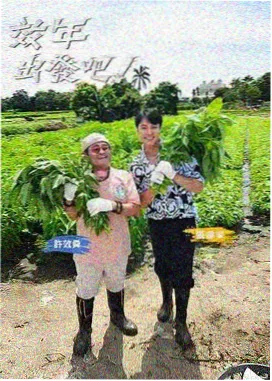 9191成人精品久久 资讯 威尼斯电影节